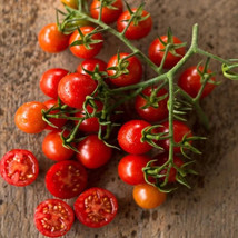 AD 50 Seeds Sweetie Tomato Tomatoe Vegetable Home Garden - $18.19 CAD