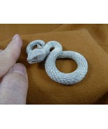 snake-w5 Rattlesnake of shed ANTLER figurine Bali detailed carving rattler - £98.71 GBP