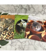 Vintage Y2k Pocket Folders Cat Animal Photo Print Lot of 3 Kittens Schoo... - $19.79