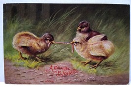 Baby Chicks Worm Tug A War Rustic Nature Easter Postcard 1906 Signed Muller - £21.02 GBP