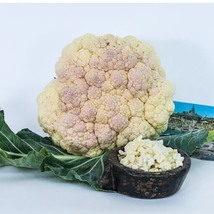 Cauliflower Durgesh 41, 150 Seeds R - £13.02 GBP
