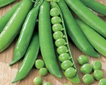 Green Arrow English Pea Seeds Sweet Shelling Peas Garden Vegetable Seed  - £4.66 GBP