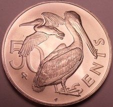 Selten Edelstein UNC Britisch Virgin Inseln 1973 50 Cent ~ 20,000 Minted ~ Brown - £8.62 GBP