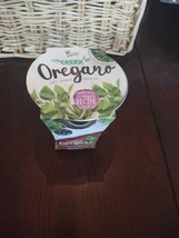 Buzzy Organic Oregano Garden Kit Seed Starting Complete Grow Fresh Healthy - $12.86