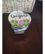 Buzzy Organic Oregano Garden Kit Seed Starting Complete Grow Fresh Healthy - £10.80 GBP