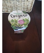 Buzzy Organic Oregano Garden Kit Seed Starting Complete Grow Fresh Healthy - $18.81 CAD