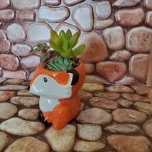 Mini Fox Planter with Succulent Arrangement, Succulent Gift, Animal Planter Pot image 8