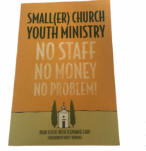 Small(er) Church Youth Ministry No Staff, No Money, No Problem Book Chri... - £9.58 GBP