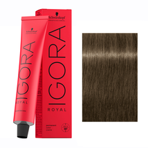 Schwarzkopf IGORA ROYAL Hair Color, 7-24 Medium Blonde Ash Beige