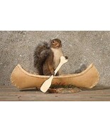 Canoeing Rowing Squirrel Taxidermy Animal Statue on Base - €341,01 EUR Canoeing Rowing Squirrel Taxidermy Animal Statue on Base - €341,01 EUR