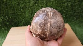 Item image 13