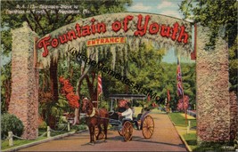 Entrance Drive to Fountain of Youth St. Augustine FL Postcard PC316 - £3.73 GBP