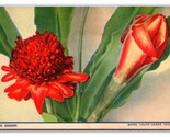 Torch Ginger UNP Bates Color Card DB Postcard W21 - $3.91
