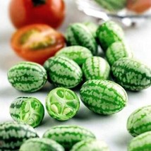ORGANIC SEEDS 20 Cucamelon Melothria Scabra MINI WATERMELON BIO  Non-GMO - $3.75