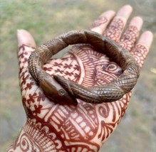 Kadamb Wood Cobra Snake Bangle Bracelet, Statement Jewelry Handmade 62 mm Inside - £29.76 GBP