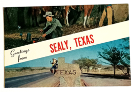 Greetings from Sealy Texas Split View Rancher Camping Sign TX Postcard c1960s - £7.96 GBP