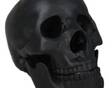 Macabre Goth Ghost Black Homosapien Replica Skull With Movable Jaw Bone ... - $30.99
