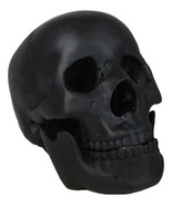 Macabre Goth Ghost Black Homosapien Replica Skull With Movable Jaw Bone ... - £24.77 GBP