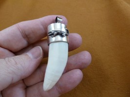 G968-33-5) Large 2-3/8&quot; Gator Alligator Tooth Teeth Silver Cap Fl Gators Pendant - £114.51 GBP