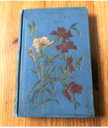 1889 Children&#39;s Story Book &quot;Things Will Take A Turn&quot; by Beatrice Harraden - £15.93 GBP