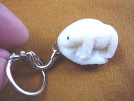 (tne-BEA-PO-400) Polar Bear Bears Keychain Key Tagua Nut Figurine Carving Palm - £12.88 GBP