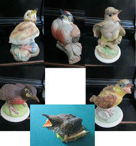 Boehm Ceramic Baby Birds Sculptures Fledgling, Robin, Goldfinch, Crested Pick 1 - £86.87 GBP