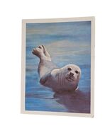 Postcard Harbor Seal Marine Life Animal Linen Unposted - $6.94 CAD