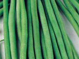 Fresh Green Bean Top Crop Green Bean 50 Seeds - £7.34 GBP