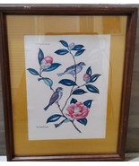 Anne Worsham Richardson Print White Throated Sparrows Framed Matted 60-7... - £36.45 GBP