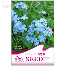 Blue Myosotis Sylvatica Bonsai 50 Garden - $6.22