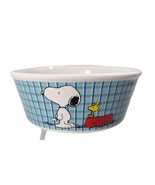 Peanuts Snoopy and Woodstock Pet Bowl 5 x 3-in ALL GONE Blue Checks Ston... - £11.38 GBP