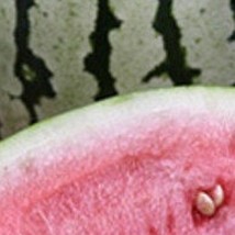 50 Dixie Queen Watermelon Seeds Usa Fast Shipping - £6.97 GBP