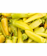BStore 50 Yellow Hot Jalapeno Pepper Non-Gmo Caloro Pepper Seeds Starter... - $13.60 CAD