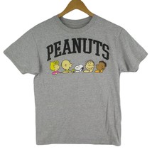 Mens M Official The Peanuts Gang T Shirt Grey Charlie Brown Lucy Snoopy - £10.80 GBP