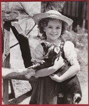 Shirley Temple Photo - On the Farm Holding a Baby Goat - £12.35 GBP