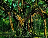 India Rubber Tree Florida FL UNP Unused UDB Postcard 1900s - $5.89