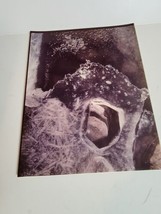 Vintage 1970s Photograph Photo Picture Color VTG Oregon Ice Formation - £22.76 GBP