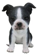 Realistic Miniature Boston Terrier Puppy Figurine 5.75&quot;Tall Animal Dog A... - €24,10 EUR