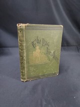 OLD The Big Brother: Story of Indian War BOOK George Cary Eggleston 1st Ed 1875 - £7.46 GBP