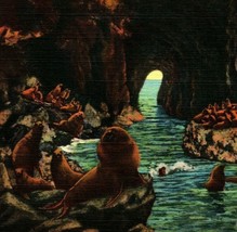 Sea Lions In Caves Oregon Coast Highway OR UNP Vtg Linen Postcard - £3.12 GBP