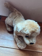 Douglas Super Soft Plush Golden Labrador Puppy Dog Stuffed Animal – tag is cut - £9.02 GBP