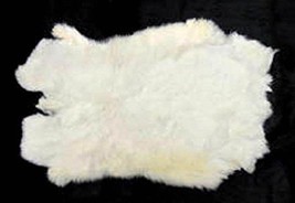 BUY 1 GET ONE FREE REAL NATURAL WHITE GENUINE RABBIT SKIN  hides fur pel... - £8.49 GBP