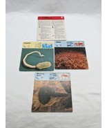 Lot Of (3) 1975 Rencontre Annelids To Arthropods Education Cards - $228.14 MXN