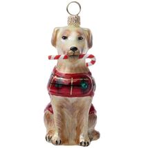 Joy To The World Yellow Lab with Candy Cane and Plaid Coat Polish Glass ... - $65.32