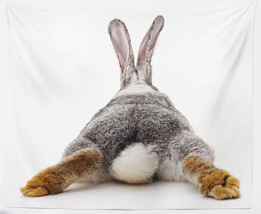 NEW Bunny Rabbit Butt Fabric Wall Tapestry 59 x 39 inches decorative wall decor - £7.88 GBP
