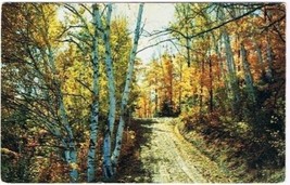McIntosh Ontario Postcard Autumn Country Road - £2.36 GBP