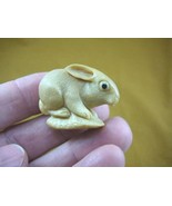 (tb-rab-2) little bunny foo foo Tagua NUT palm figurine Bali carving bab... - £38.39 GBP