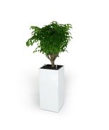 Catleza 11&quot; Self-Watering Square Planter Box - High - White - $3,467.77 MXN