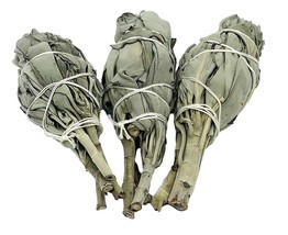 Californian White Sage Smudge Sticks for Burning Smudging Wands &quot;Bulb&quot; Style - £12.24 GBP