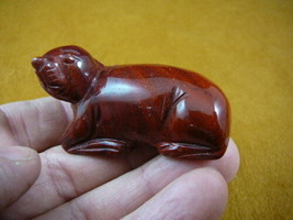 (Y-SEAL-706) SEAL carving RED jasper gem FIGURINE Sea Lion seals pup gem... - $17.53